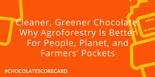 Cleaner, Greener Chocolate: Why Agroforestry Is Better For People, Planet, and Farmer’s Pockets